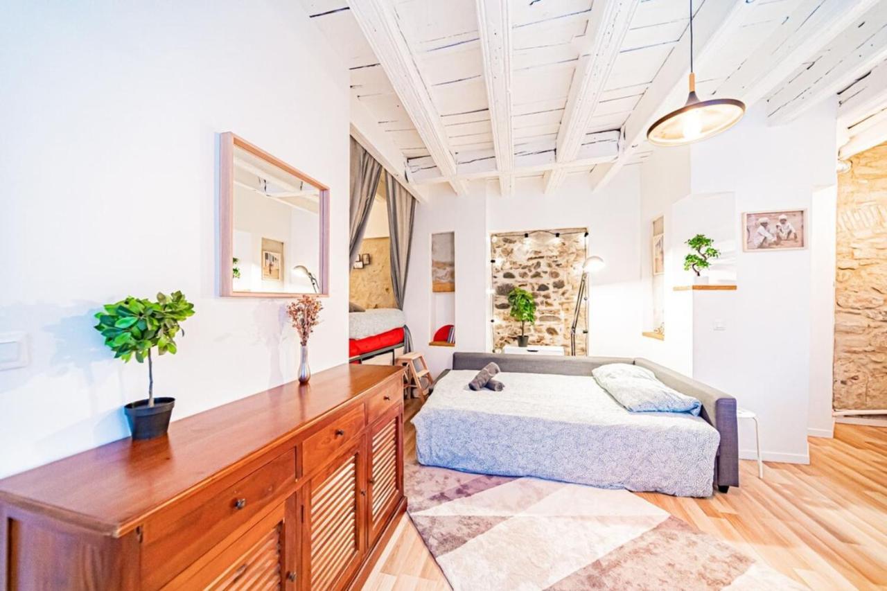 Le Petit St Paul - Vieux Appartement *